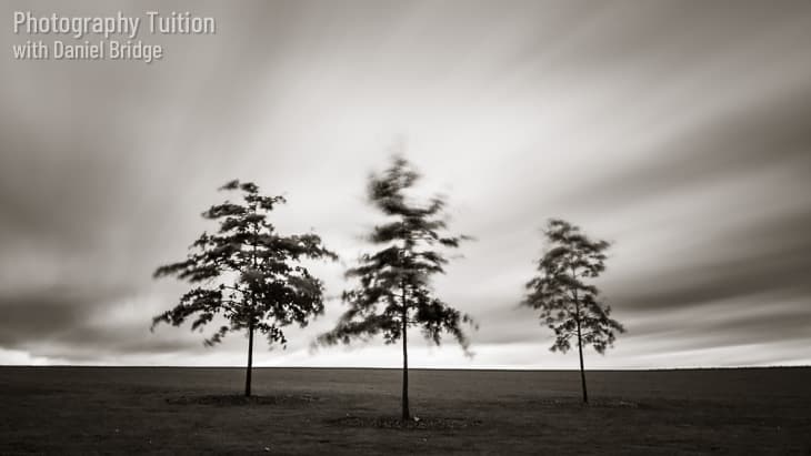 Black and white picture of three trees silhouetted against a sweeping sky