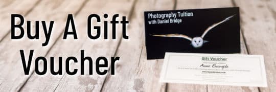Buy Private Photography Tuition Gift Vouchers Online