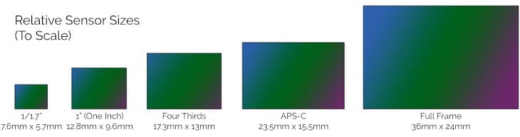 Relative sizes of digital camera sensors